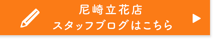 スタッフブログはこちら